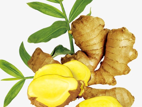 怀孕恶心怎么缓解