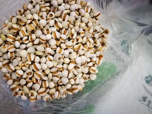 生薏米和熟薏米的区别是什么呢