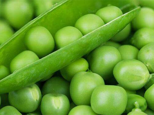 豌豆的营养价值