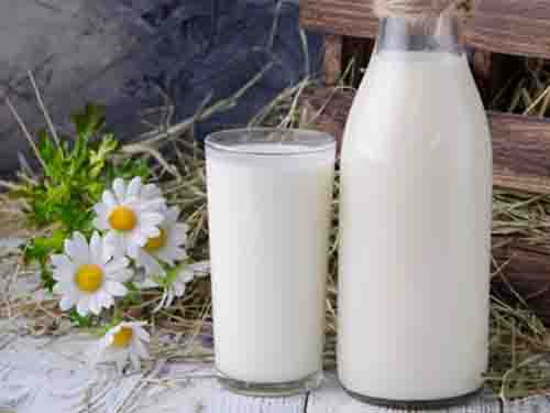 喝什么牛奶有助于长高