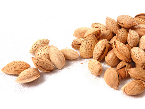 巴旦木和杏仁的区别