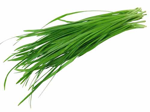 孕妇可以吃韭菜吗