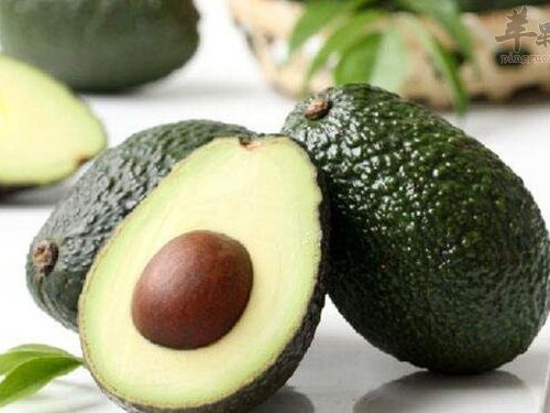 牛油果的营养成分