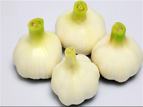 大蒜敷脚心有什么作用