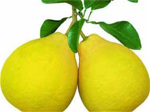 怎样降低胆固醇