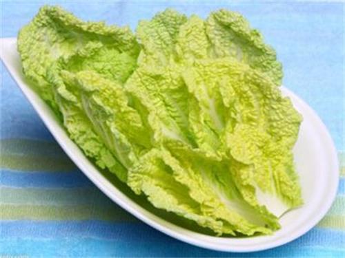 白菜可以生吃吗