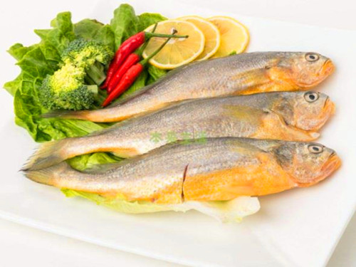 黄花鱼的营养价值