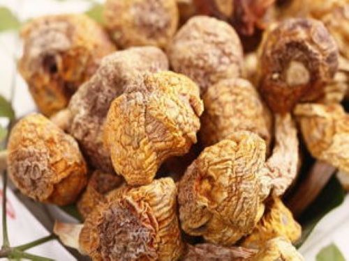 松茸多少钱一斤 8_2019927134628775_4.jpg