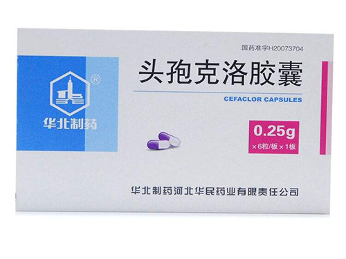 头孢克洛胶囊能喝酒吗