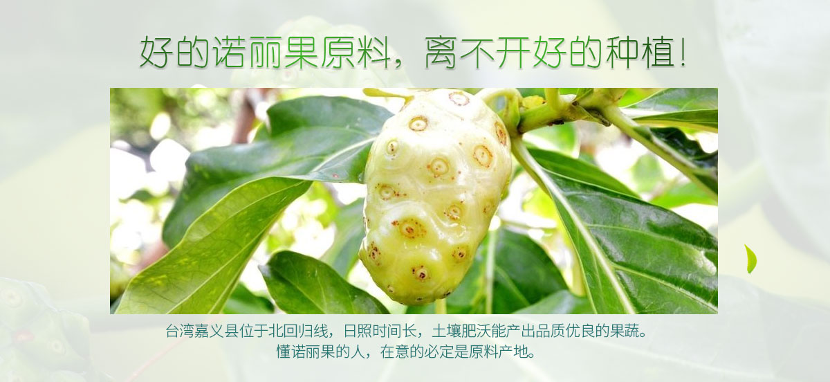 大溪地诺丽加蓝莓果汁