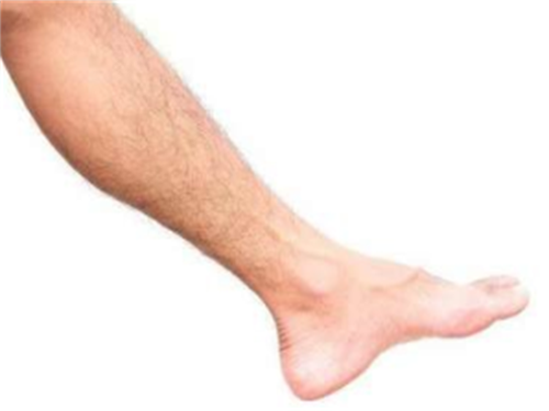 8_201999205728886_4.png