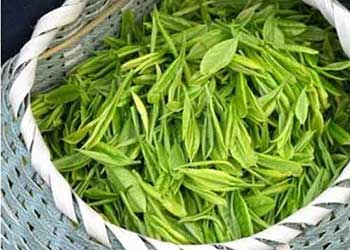 【青钱柳】青钱柳是什么_青钱柳的功效与作用