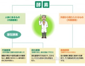 孝素的原理是什么_孝的本义是什么(3)