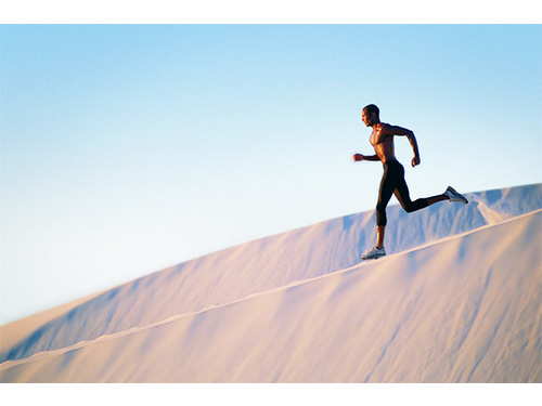 海狗丸哪个牌子好