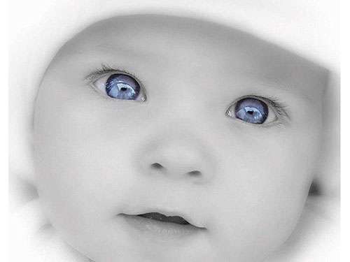 美商婕斯产品给您科普脾肾阳虚型肥胖-美商婕