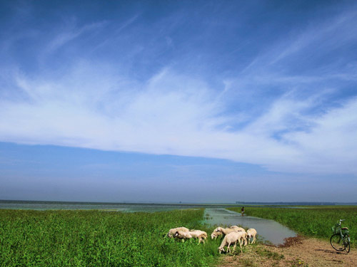 乐利来公司是中国合法取牌的直销公司-乐利来