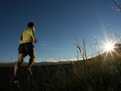 美国优莎娜健骼宁如何缓解膝关节骨性关节炎疼