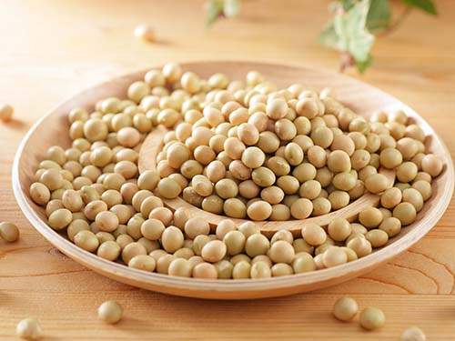 黄豆减肥方法 大连康宝莱告诉你怎么减肥-康宝