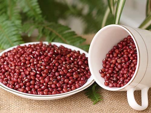 优莎娜官网推荐1岁宝宝营养晚餐食谱大全-美国