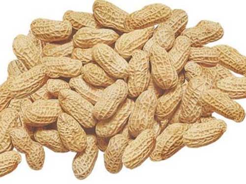 慢性胃炎怎样养胃? 天狮血之铁盘点养胃的方法