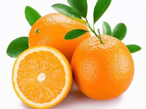 丸荣你值得了解-日本丸荣(2H2D)