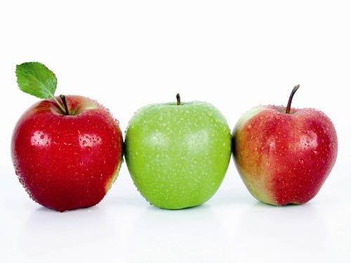 y 谷氨酰转肽酶偏高的危害 美国亚瑟安德鲁得胃