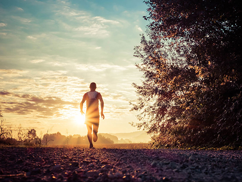 权健产品价格表