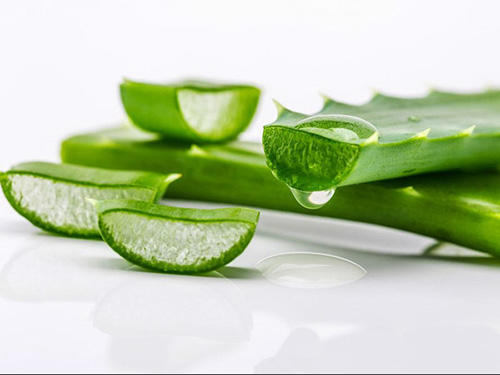 乐利来分享芦荟汁的功效与作用-乐利来(LeRoy