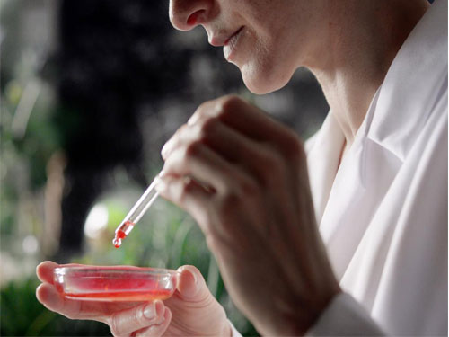 安娜柏林再生紧致修复日霜--一个德国天然护肤