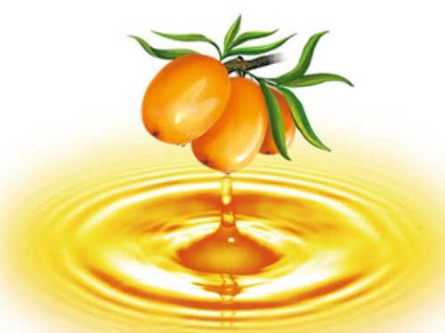 沙棘油的功效作用多 护肤保健-沙棘油(sea bac