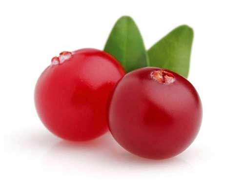 蔓越莓的作用于功效,蔓越莓对健康的好处-蔓越