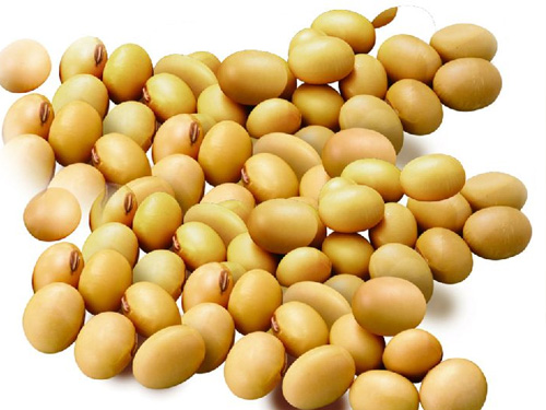 怀孕期间孕妇能吃大豆异黄酮吗?