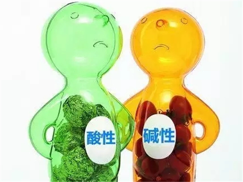 牛樟芝茶的好转反应-牛樟芝(Antrodia_campho