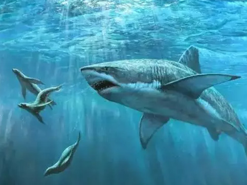 妊娠高血压能吃深海鱼油吗-特维康(Top_Life)