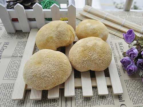 孕妇可以吃猴头菇吗 适量食用好处多多-美澳健