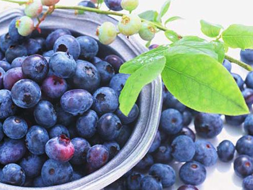 蓝莓花青素的功效与作用 白领丽人的福音-雅梵