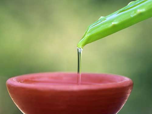 库拉索芦荟汁怎么用 库拉索芦荟汁擦脸好吗-芦