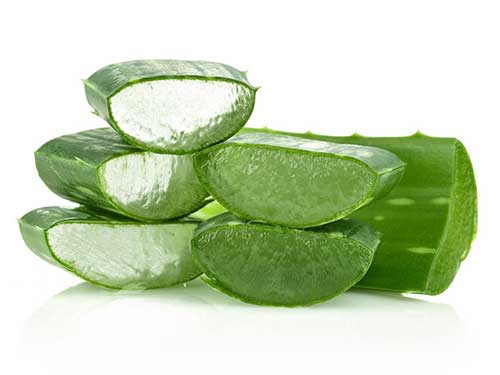 库拉索芦荟敷脸好吗 三大说明凸显库拉索芦荟功效