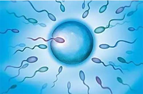 备孕一年还没怀孕?以下环节挨个排查-法缇施(La_Ricci)-中国美容美体网