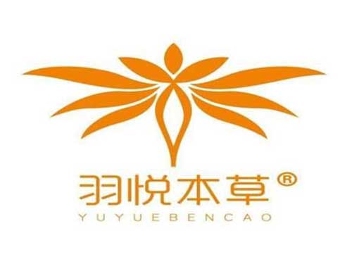 羽悦本草瘦瘦组合装的功效及使用方法