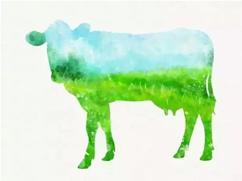 牛初乳品牌,牛初乳哪个牌子好