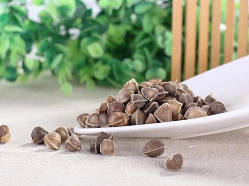 辣木籽味道代表什么