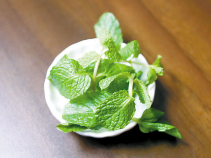 薄荷会有哪些食用禁忌