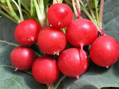 黄晓明减肥被诱惑 维萃美男士减肥-维萃美(Vic