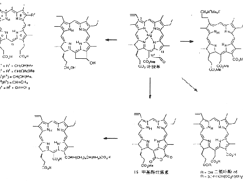彭墩维七大豆小分子肽的主要成分