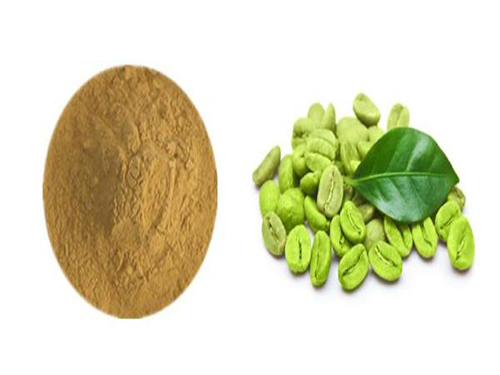 绿咖啡豆减肥有效果吗