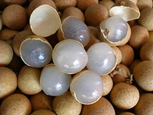 蛋白质含量高的水果