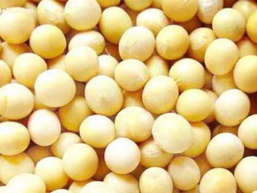 大豆异黄酮的功效有哪些?