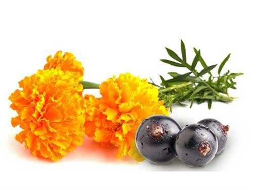 请问叶黄素副作用有哪些?