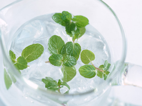 薄荷叶的健康吃法是怎样的 可以直接吃吗